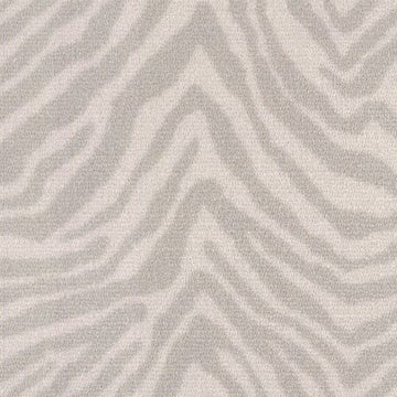 Grévy's Zebra