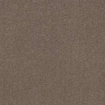 Chic Taupe