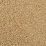 Shangri-La in Conway Carpet
