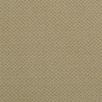 Plaster
