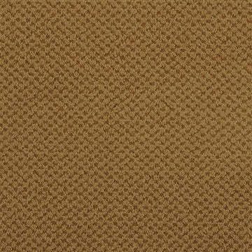 Raw Sienna