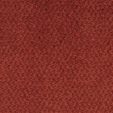 New Hope in Scarlet Carpet