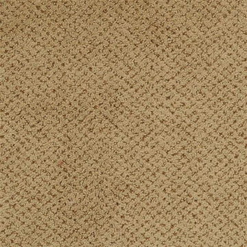 Wainscot