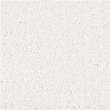 Matisse in Bone Carpet