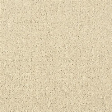 Studio Beige