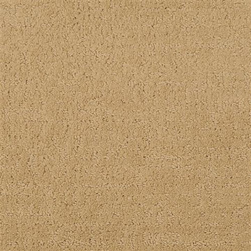 Afghan