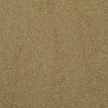 Bronze Tone