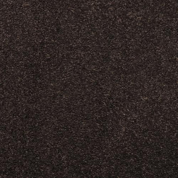 Black Olive