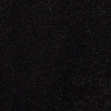 Black Bean