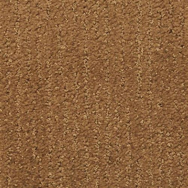 Nature's Essence in Coffee Bean Carpet