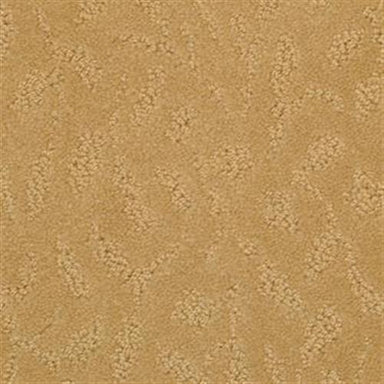 True Luxury in Terra Cotta Carpet