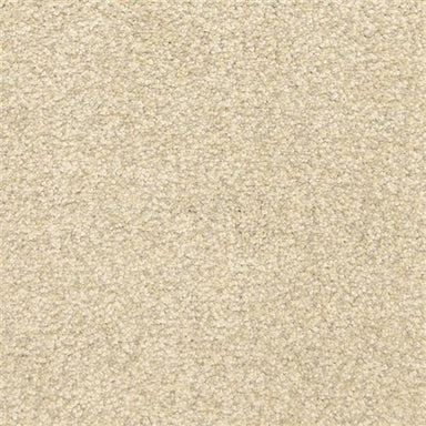 This and That in Opal Carpet