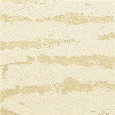 Lynx in Chordata Carpet