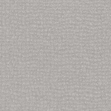 Gray Tint