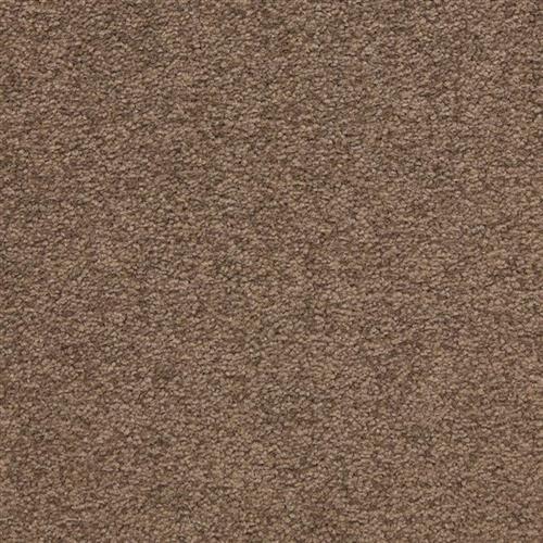 Patriot in Townhall Carpet