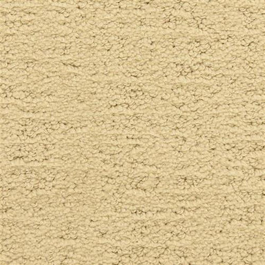 Santa Barbara in Mission Canyon Carpet