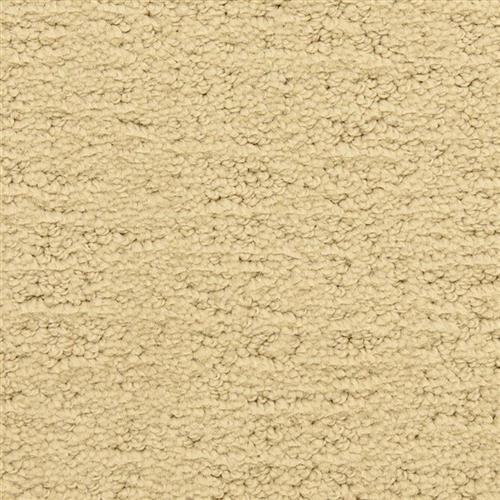 Santa Barbara in Mission Canyon Carpet