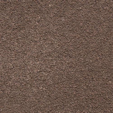 Ravishing in Elegant Carpet