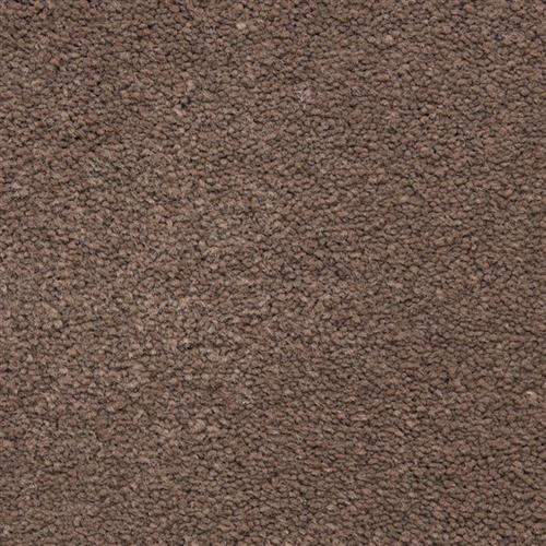 Ravishing in Elegant Carpet