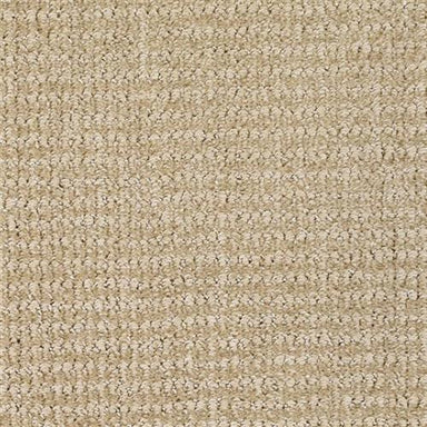 Serene Touch in Quiet Carpet