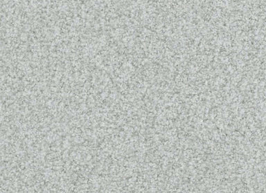 Boca Raton in Infinite Carpet