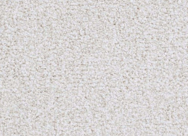 St. Augustine in Trustworthy Carpet
