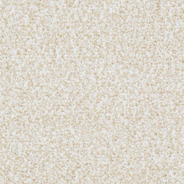 Abiding Beige