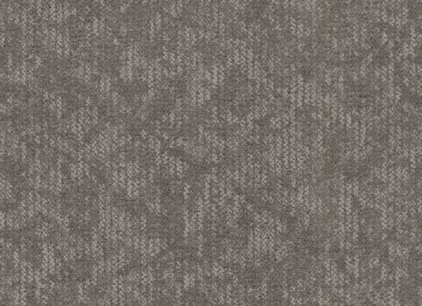Coast in Birch Carpet
