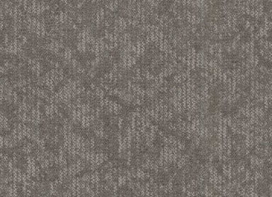 Coast in Birch Carpet