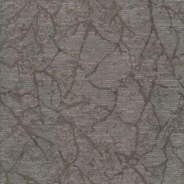 Birch