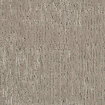Bark