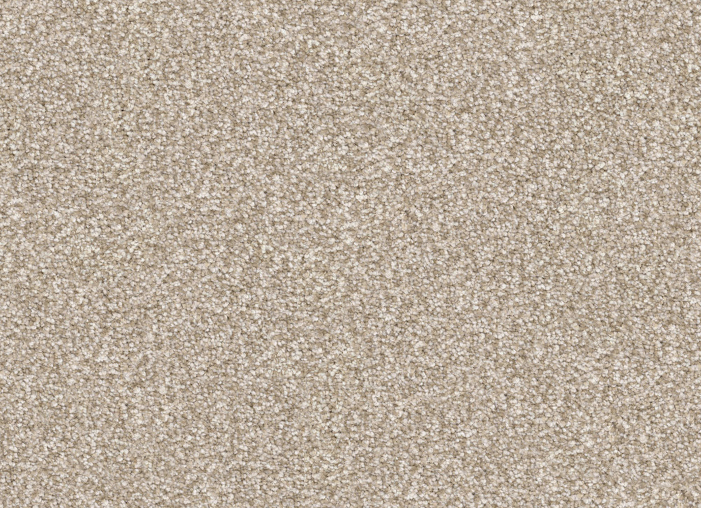 Hunter in Sandy Carpet