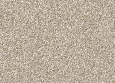 Hunter in Sandy Carpet
