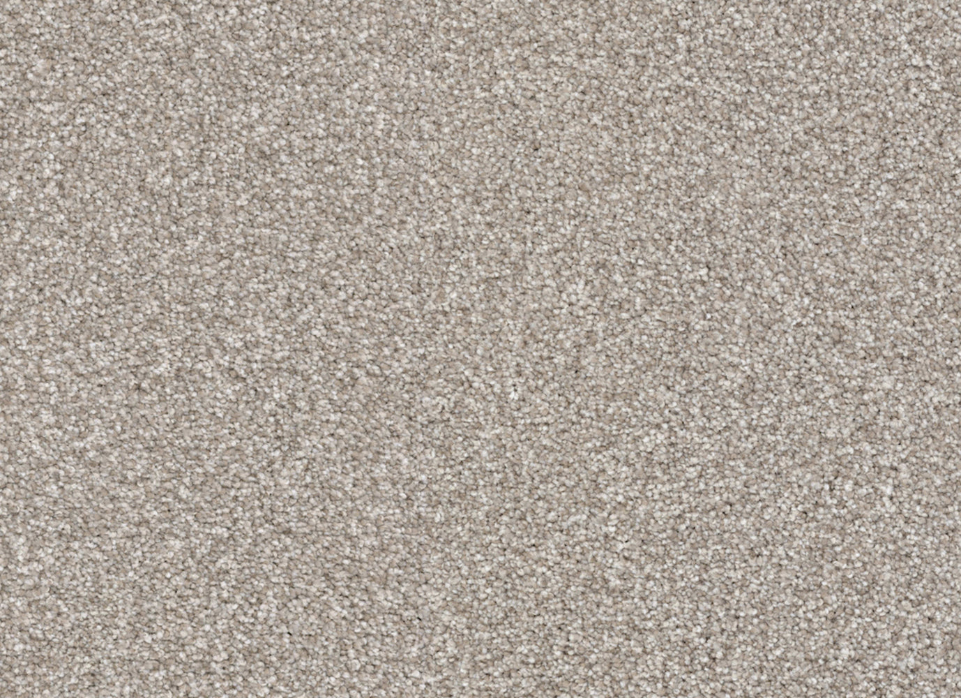 Tracker in Benji Carpet