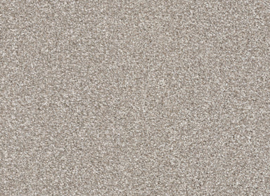 Tracker in Benji Carpet