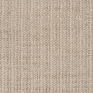 Beguiling in Baja Carpet