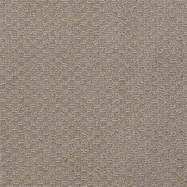 Sp882 in Granite Carpet