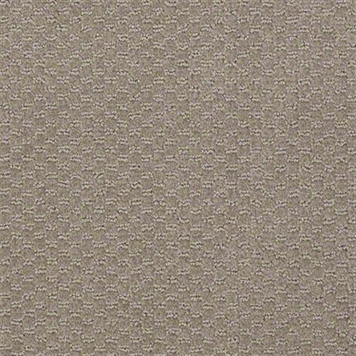 Sp882 in Granite Carpet