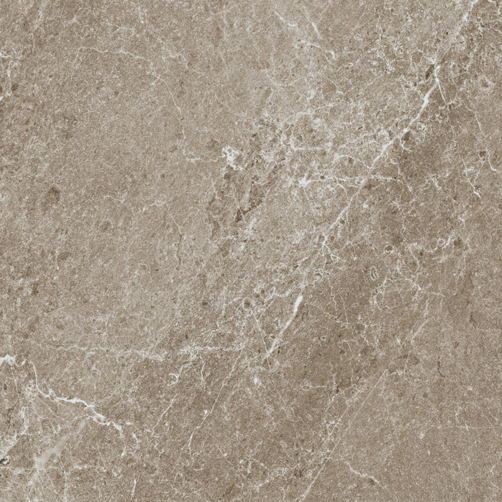 Advance in Greige 24x24 Tile