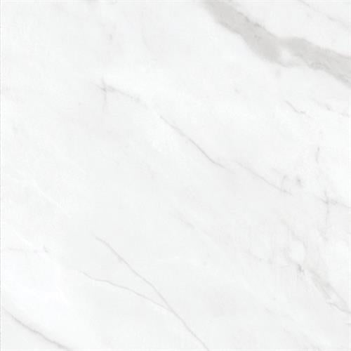 Altezza in Carrara - 12x24 Tile