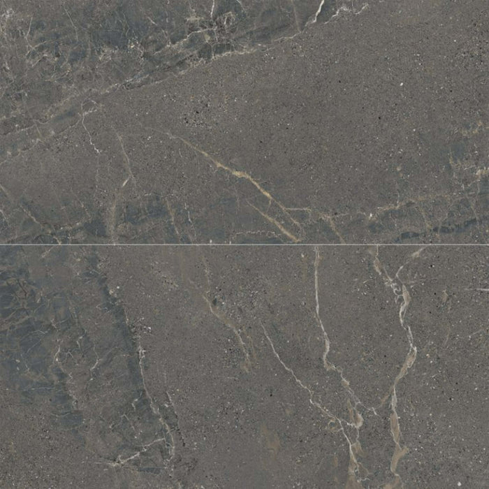 Anthea in Dark 24x48 Tile