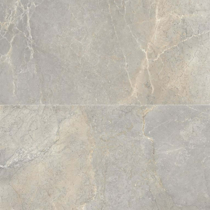 Anthea in Earth 24x48 Tile