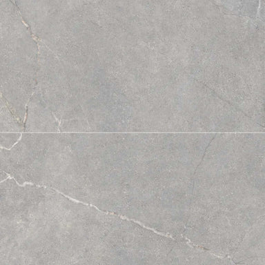 Anthea in Gray 24x48 Tile