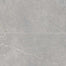Anthea in Gray 24x48 Tile