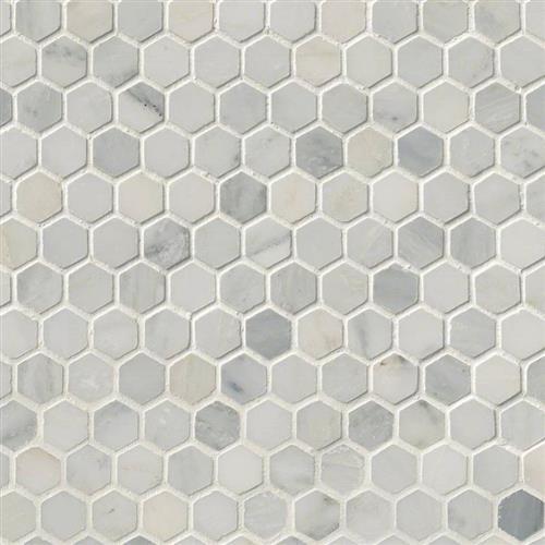 Arabescato Carrara in Arabescato Carrara - 1 Hexagon