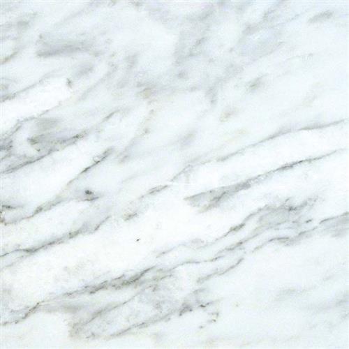 Arabescato Carrara in Arabescato Carrara - 6x24