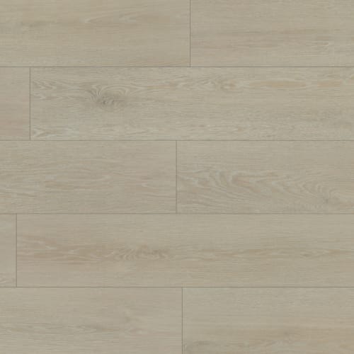 Timber Guard in Mojave