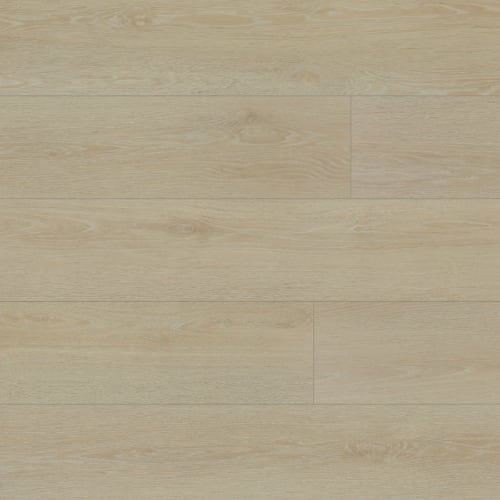 Timber Guard in Newport