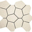 Alaska in Bone Mosaic 13"x15" Polygon Tile