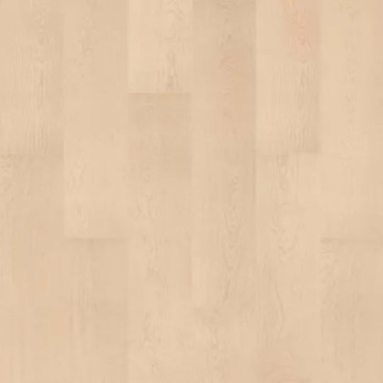 Oxford Grove in Luna